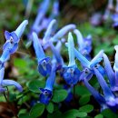 아산면사무소 이미지