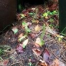 월악산 산아래 이미지