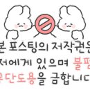 아웅다웅애견펜션 이미지