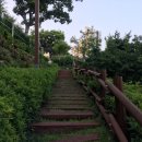 범일동산림공원 이미지