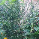 엄광산임도 이미지