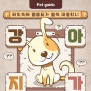 이루아동물병원 이미지