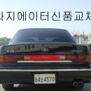 다이너스티 이미지