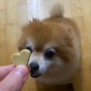7월 다섯째 주 일기