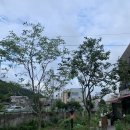 하르방 고을 이미지