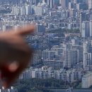 강남별이 이미지