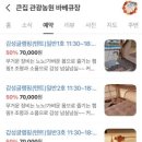 큰집관광농원감성캠핑