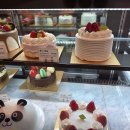 베이커리본 이미지