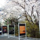 감상발전소 이미지