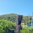 걸치기농장 이미지