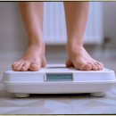 피티시즌 이미지