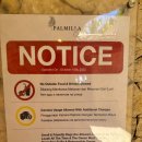 남부로 | 발리 남부투어 코스 추천 파밀라 비치클럽 후기