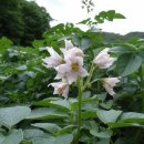 영월기행 이미지