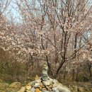 장애인 복지관 공원 옆 네이버블로그