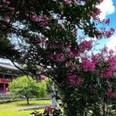 육신사(구) 이미지