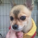 인수당약국 이미지