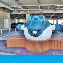 주문진항20 이미지