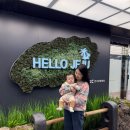 조선소길 | 6개월아기랑 제주도여행 :: Day1(그랜드조선 스튜디오 스위트, 이끼숲소길)