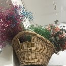 화사랑화원 이미지