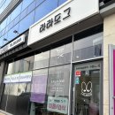 라라도그 이미지