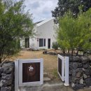 제주보홀 | 제주 보홀 독채펜션 후기, 두 딸과 제대로 쉬다 온 프라이빗 숙소