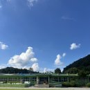 골든오토 | [충북 보은] 수영장이 있는 키즈 캠핑장,가족힐링 여행 ‘키즈드림오토캠핑장’