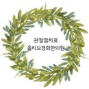 올리브경희한의원 이미지