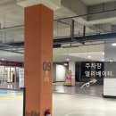 09라인 이미지