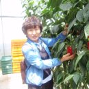 약수동농장 이미지