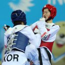 승리태권도체육관 이미지