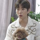이주승 카카오 검색결과