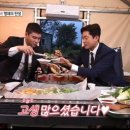 베스트 애견 이미지