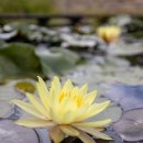 봉하마을 공영주차장　 이미지