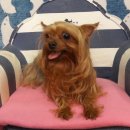 사림민원센터 이미지