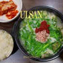 김해김가네 돼지국밥 | 울산 북구 국밥 맛집 김해김가네돼지국밥 내돈내산 주차장