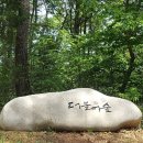 더불어숲 이미지