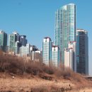 BICYCLE ROAD, 서울 시내 자전거 타기 좋은 길 이미지