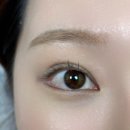 영동홈마트 - 계양구 동양로 20 | 논현 속눈썹펌 맛집 추천 👁️ | 내맘쏙 내맘에쏙드는눈썹
