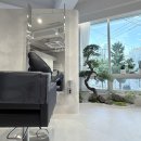 비그로브 비 이미지