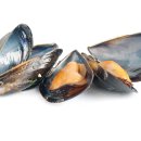 바다슈퍼 이미지