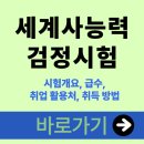 중국어중급(토) | 세계사능력검정시험 시험개요, 급수, 취업 활용처, 취득 방법