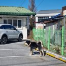 근남파출소 이미지