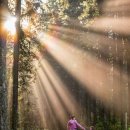 수유문화정보도서관 이미지