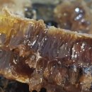 대박터진날 이미지