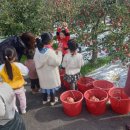 샘양지 마을 이미지