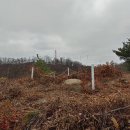 무지내동 태봉 이미지