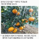 주경농원
