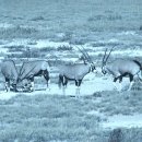 지토농장 이미지