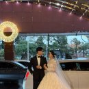 멜로우호텔 | 06. 롯데호텔월드 크리스탈볼룸 _ 패브멜로우 아이폰스냅후기