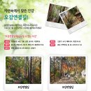 향일암전망대 이미지